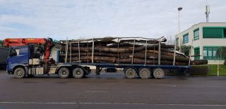 Défauts importants constatés sur un camion remorque transportant du bois